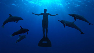 Documentary Deploys Spy Tech to Trump Japanese Dolphin Killers